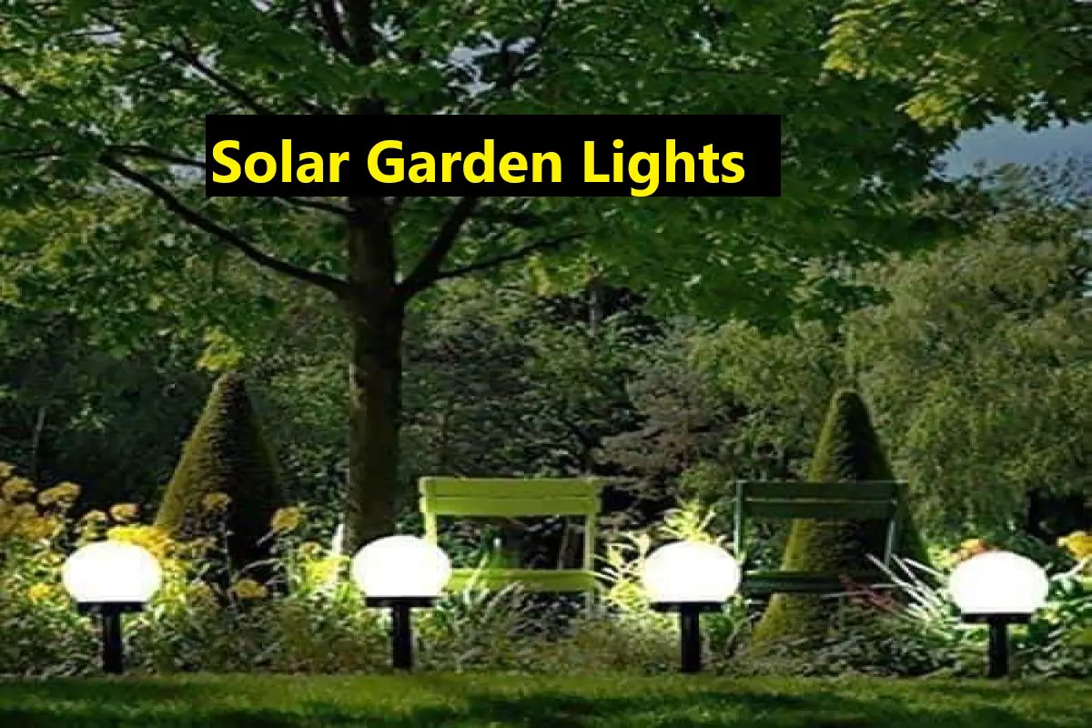 Solar Garden Lights Nairobi