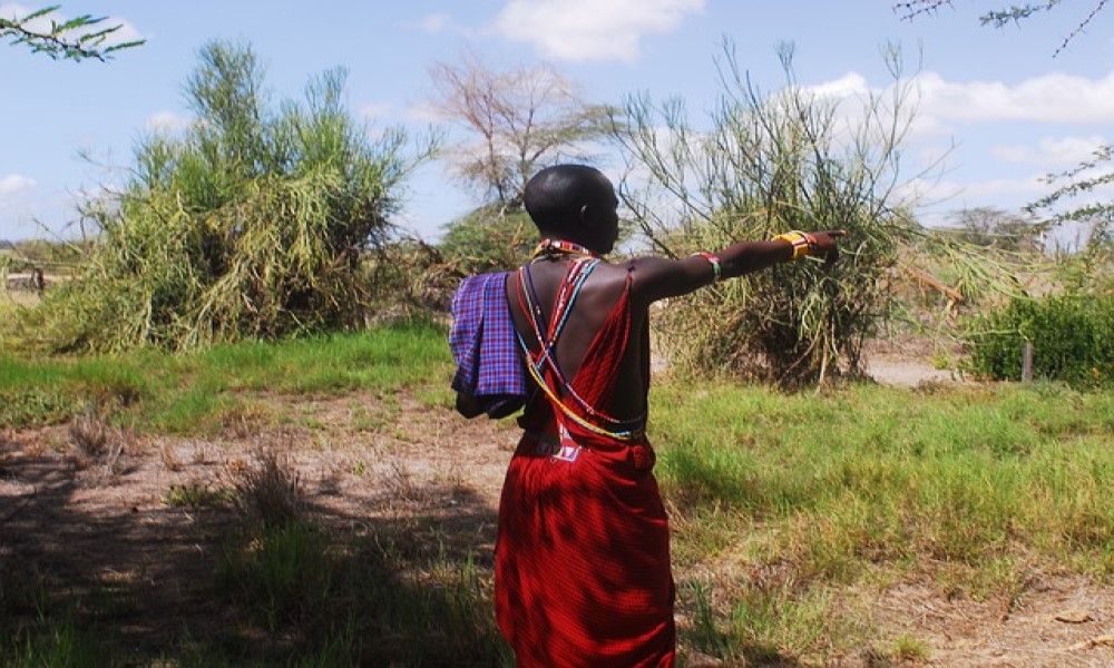 Tour Guide Salary In Kenya | Latest New Pay
