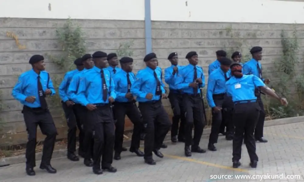 Wells Fargo Security Guard Salary In Kenya | Latest New Pay