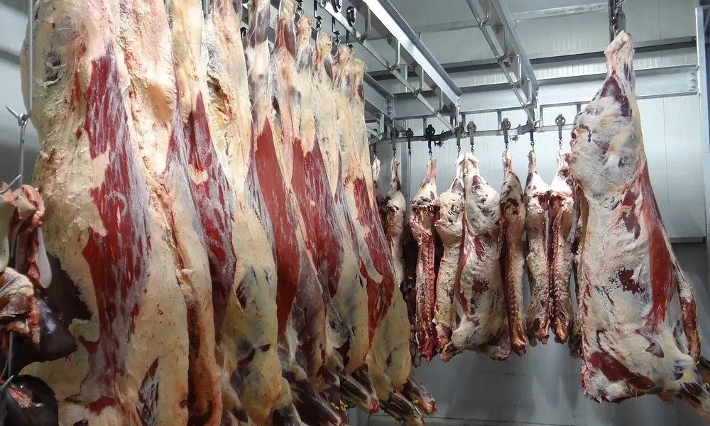 How To Start A Butchery Business In Kenya & Succeed Easily