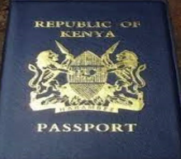 how-to-apply-for-a-lost-passport-in-kenya-requirements