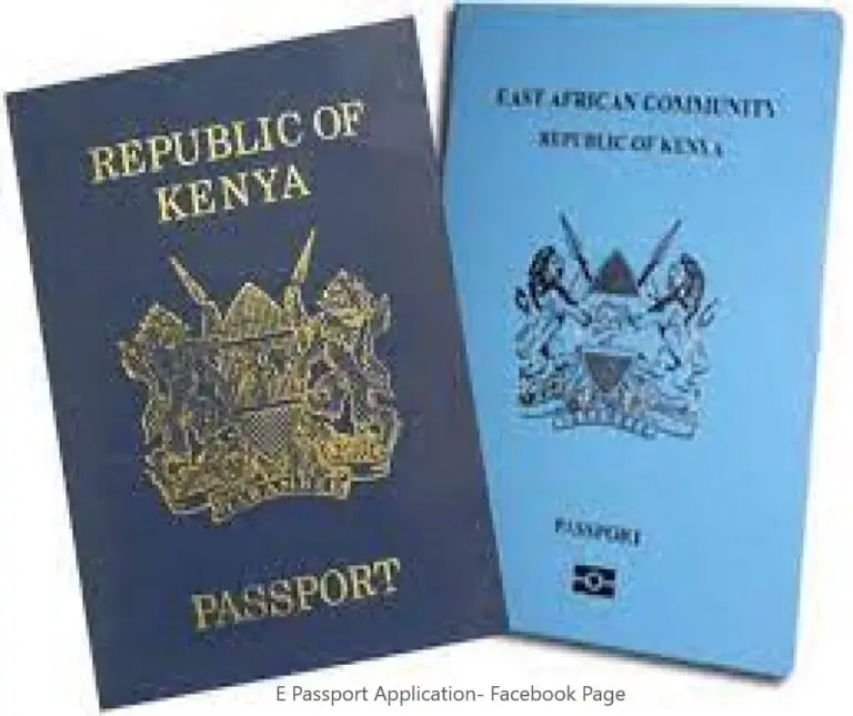 Can You Have Dual Citizenship In Us And Kenya